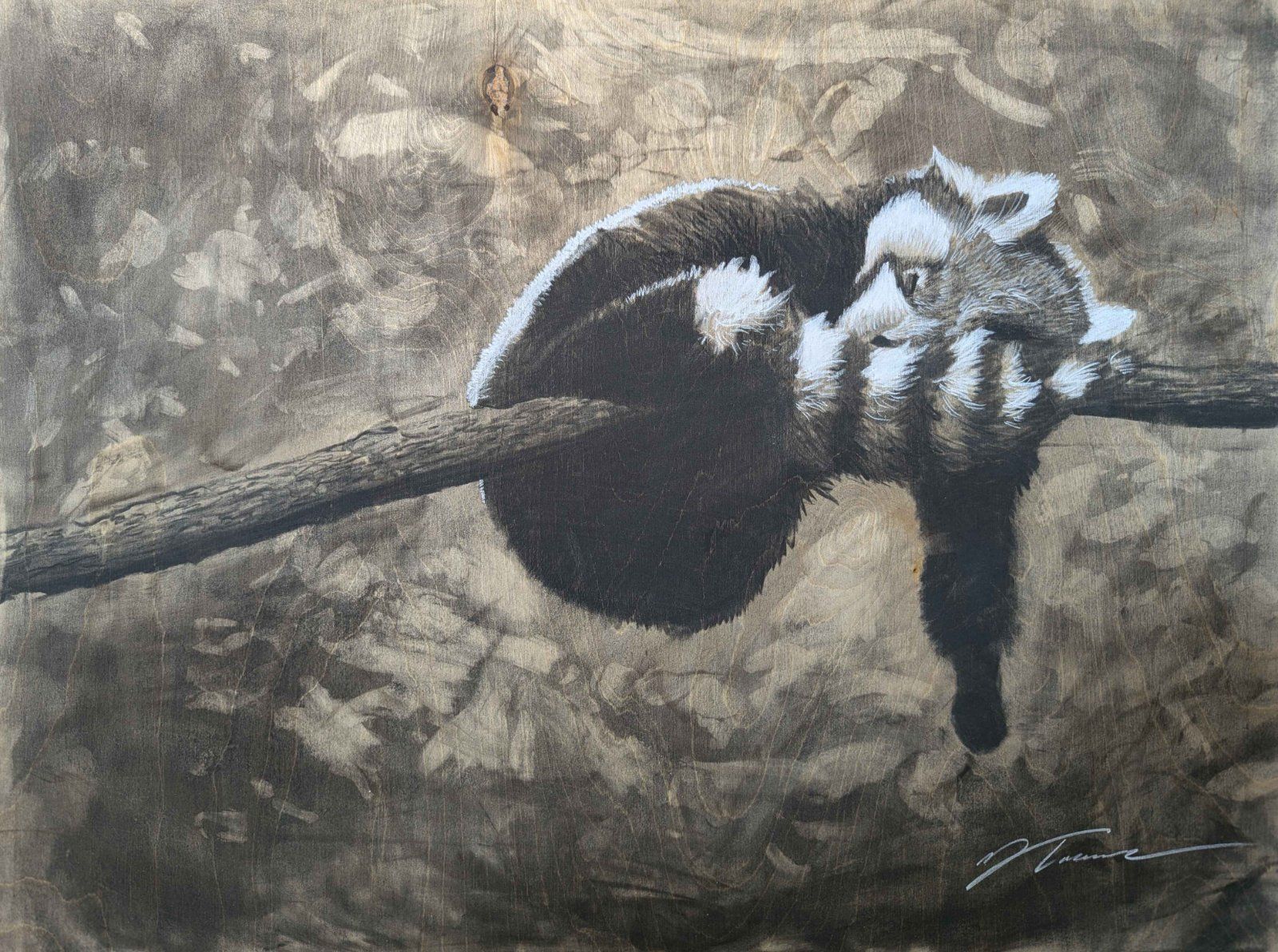 Drawing of Red Panda by Isaac Taccone