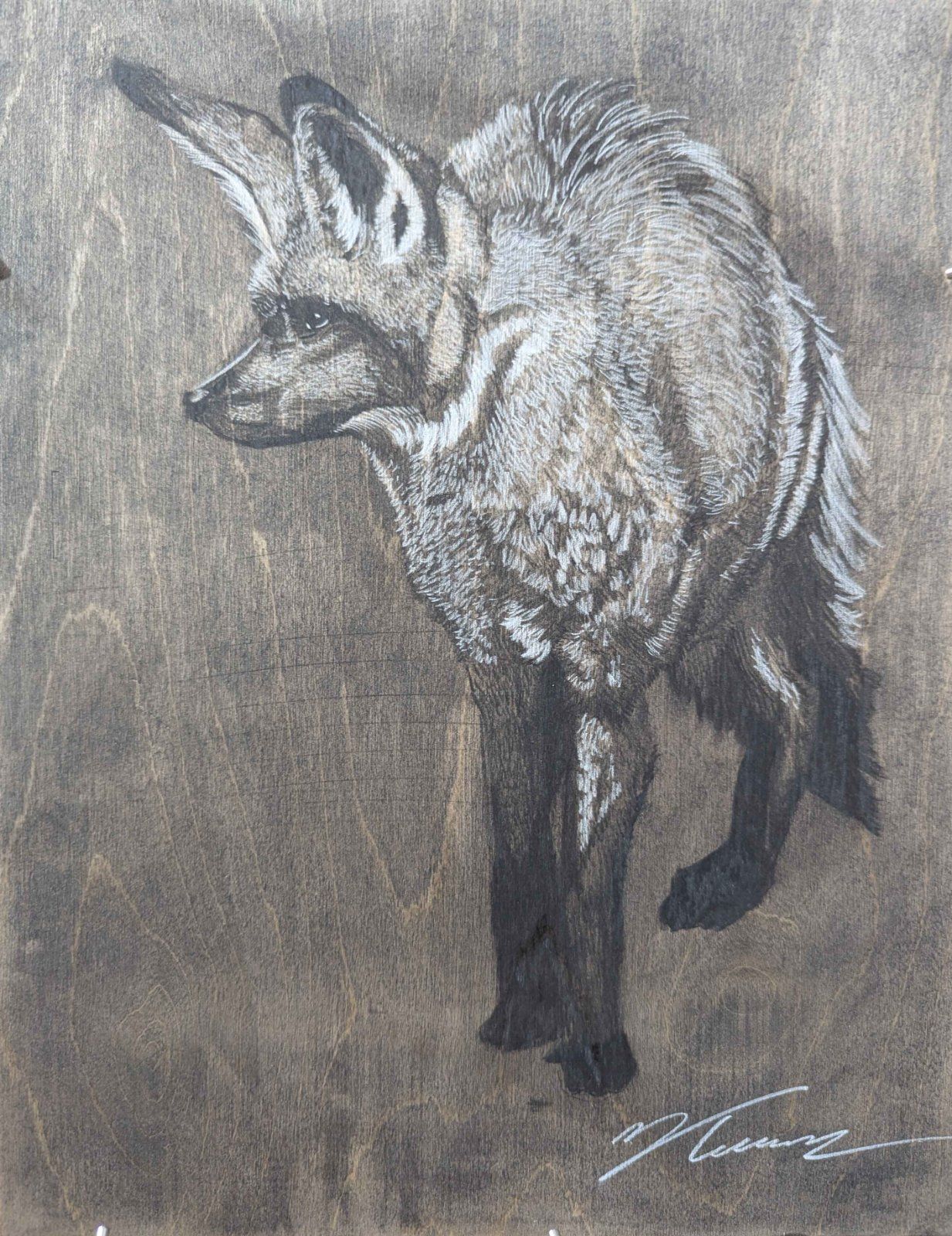 Drawing of Woodland Fox by Isaac Taccone