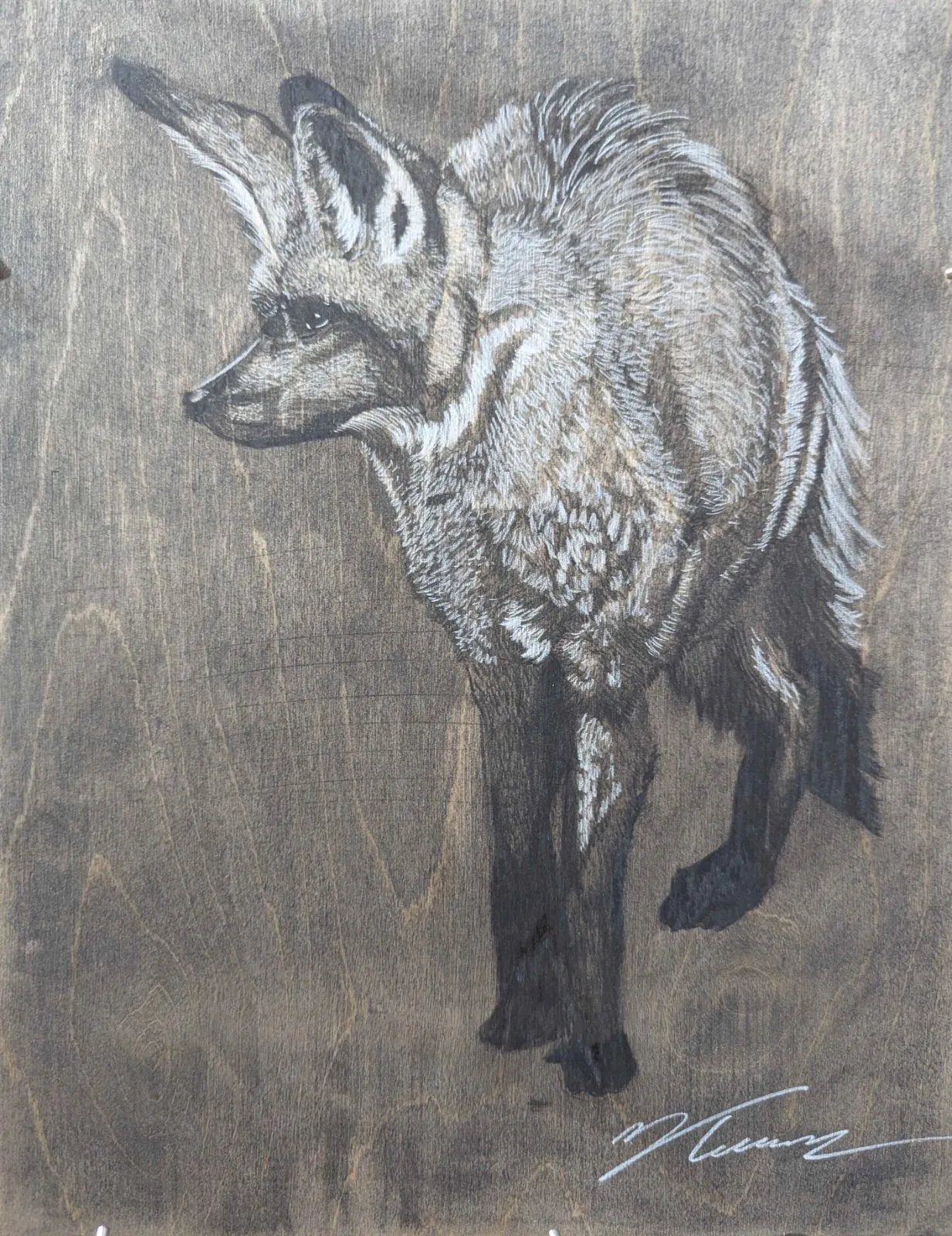 Drawing of Woodland Fox by Isaac Taccone